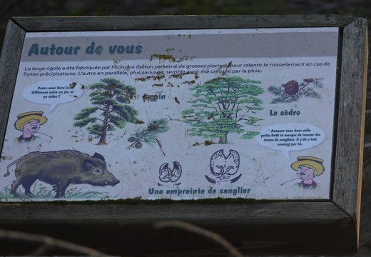 Le Terril du Défens - Meyreuil 10
