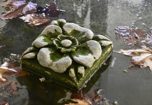 1-06 L'arrivée d'eau.